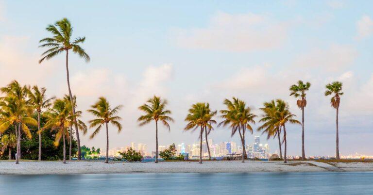 Unmasking the 10 Biggest Myths About Florida – Get Ready to Be Surprised! 4 Unmasking the 10 Biggest Myths About Florida – Get Ready to Be Surprised!
