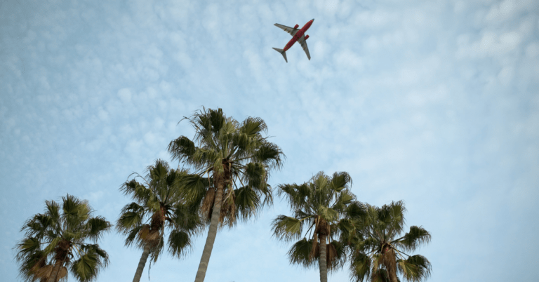 Florida Month By Month: Best Destinations and Things to Do 1 Florida Month By Month: Best Destinations and Things to Do