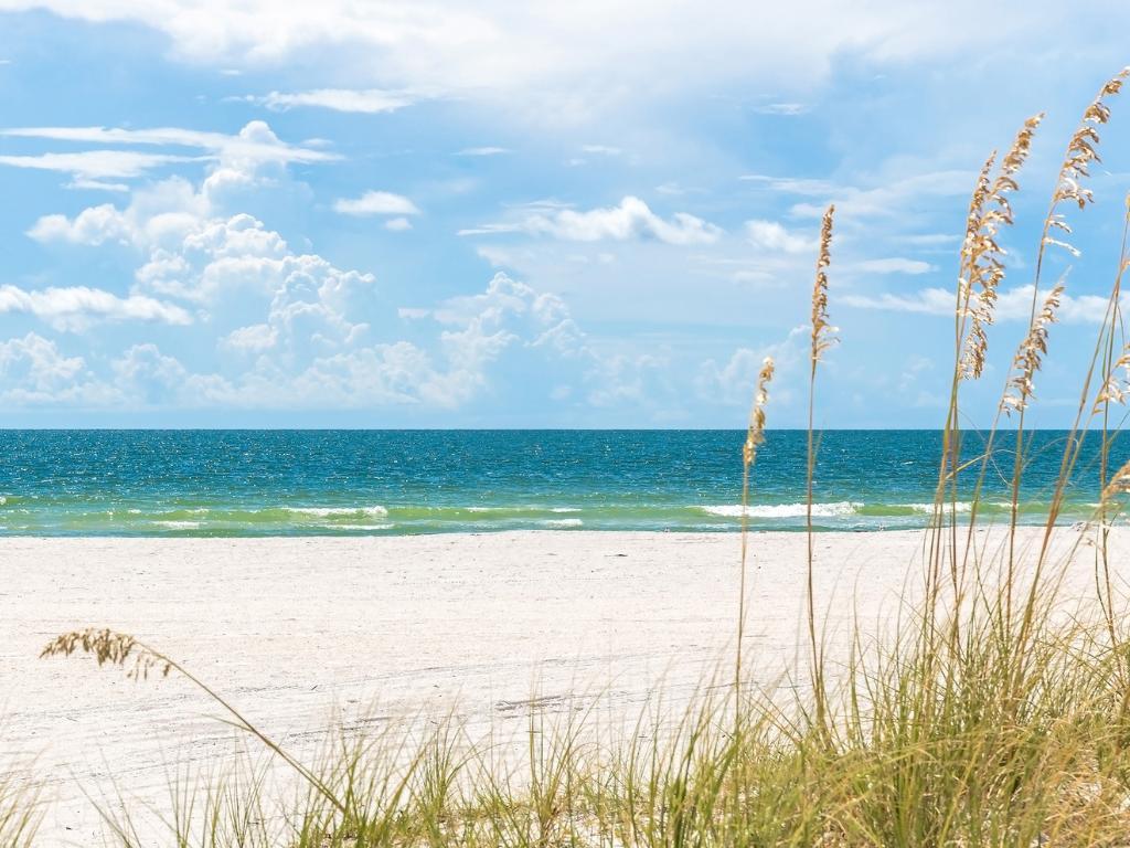 13 Romantic Beaches in Florida Offer the Perfect Couple's Getaway 11 Photo shows the Gulf of Mexico with sandy beach and sea oats in the foreground.