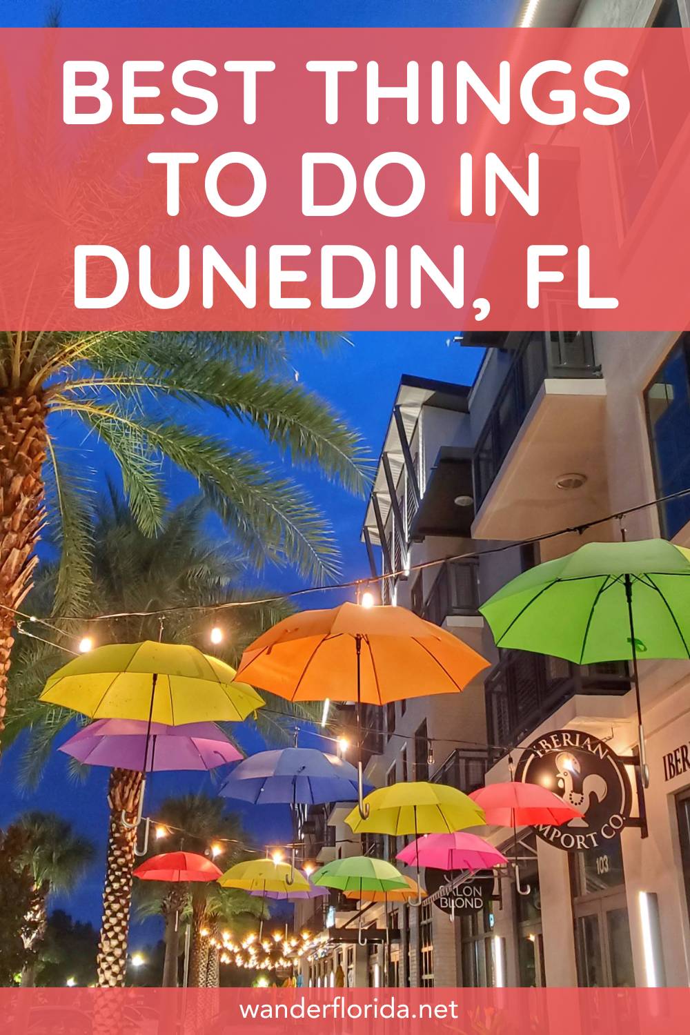 15 Amazing Things to Do in Dunedin Florida