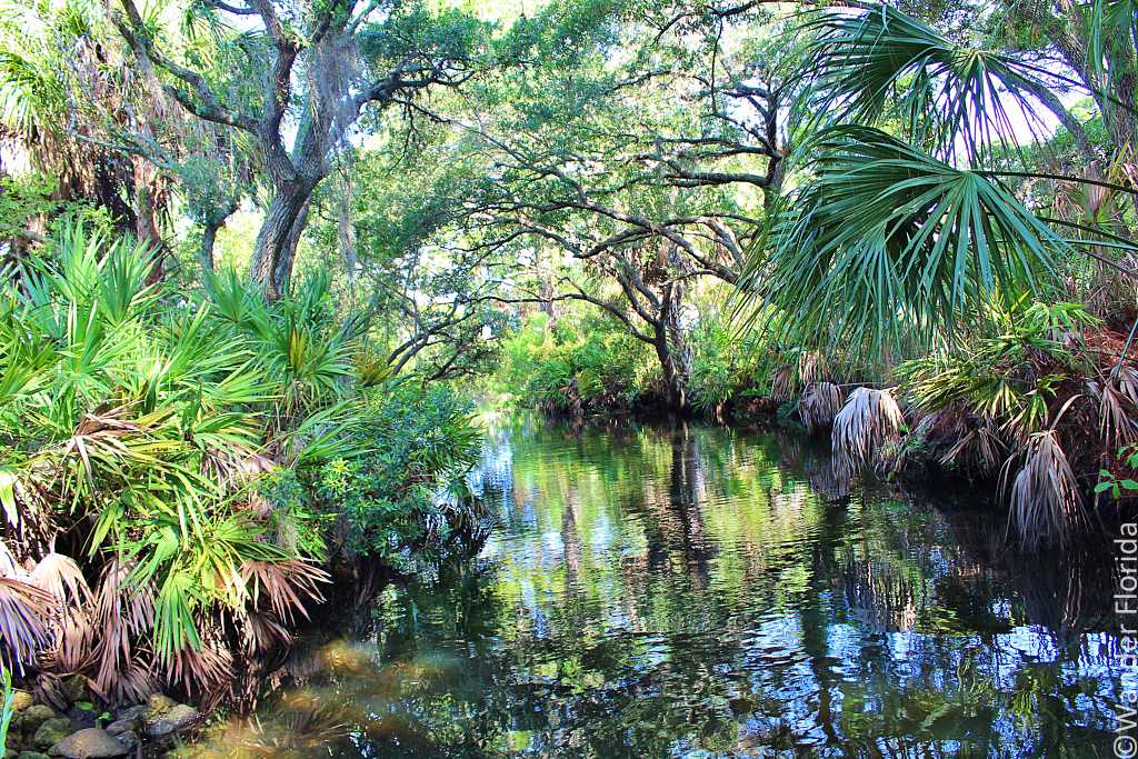 75+ Fantastic Florida Road Trips From Tampa 21 Caldera Spring Run
