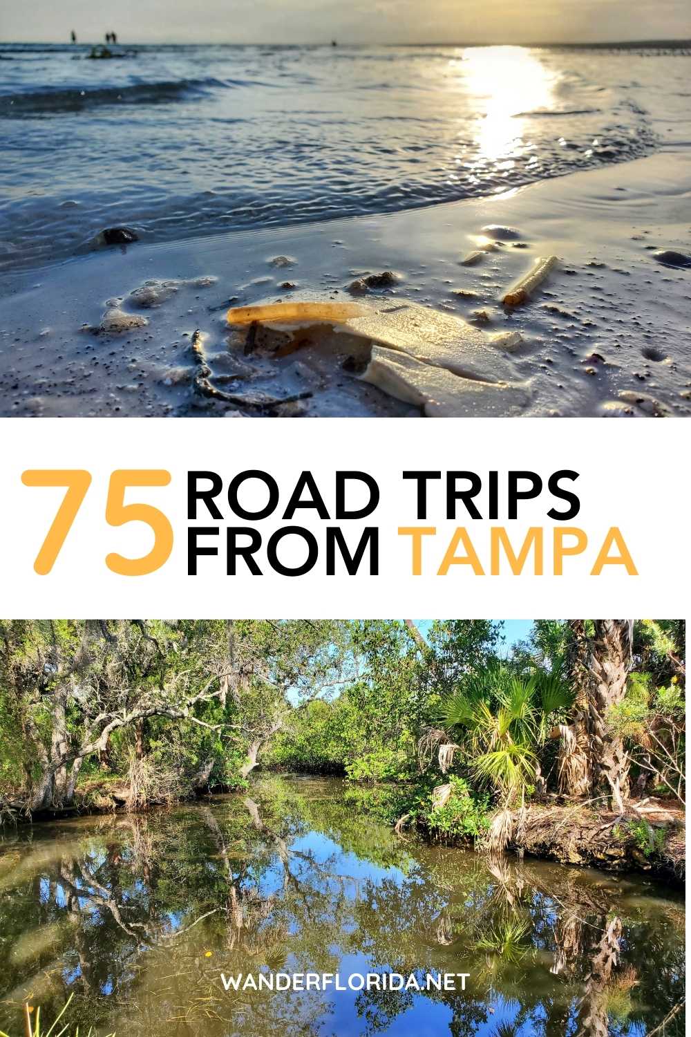 75+ Fantastic Florida Road Trips From Tampa 29 75+ Fantastic Florida Road Trips From Tampa