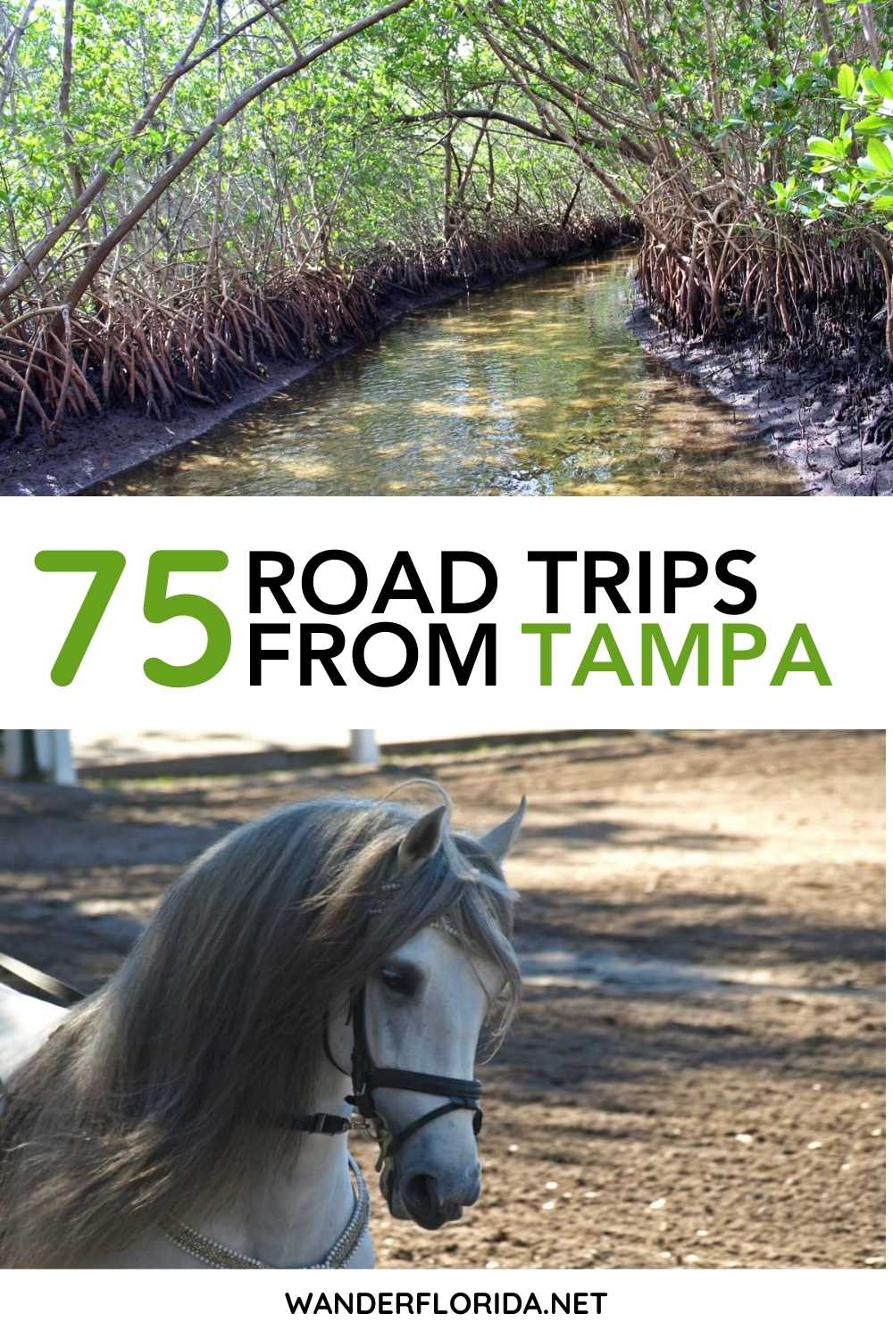 75+ Fantastic Florida Road Trips From Tampa 27 75+ Fantastic Florida Road Trips From Tampa