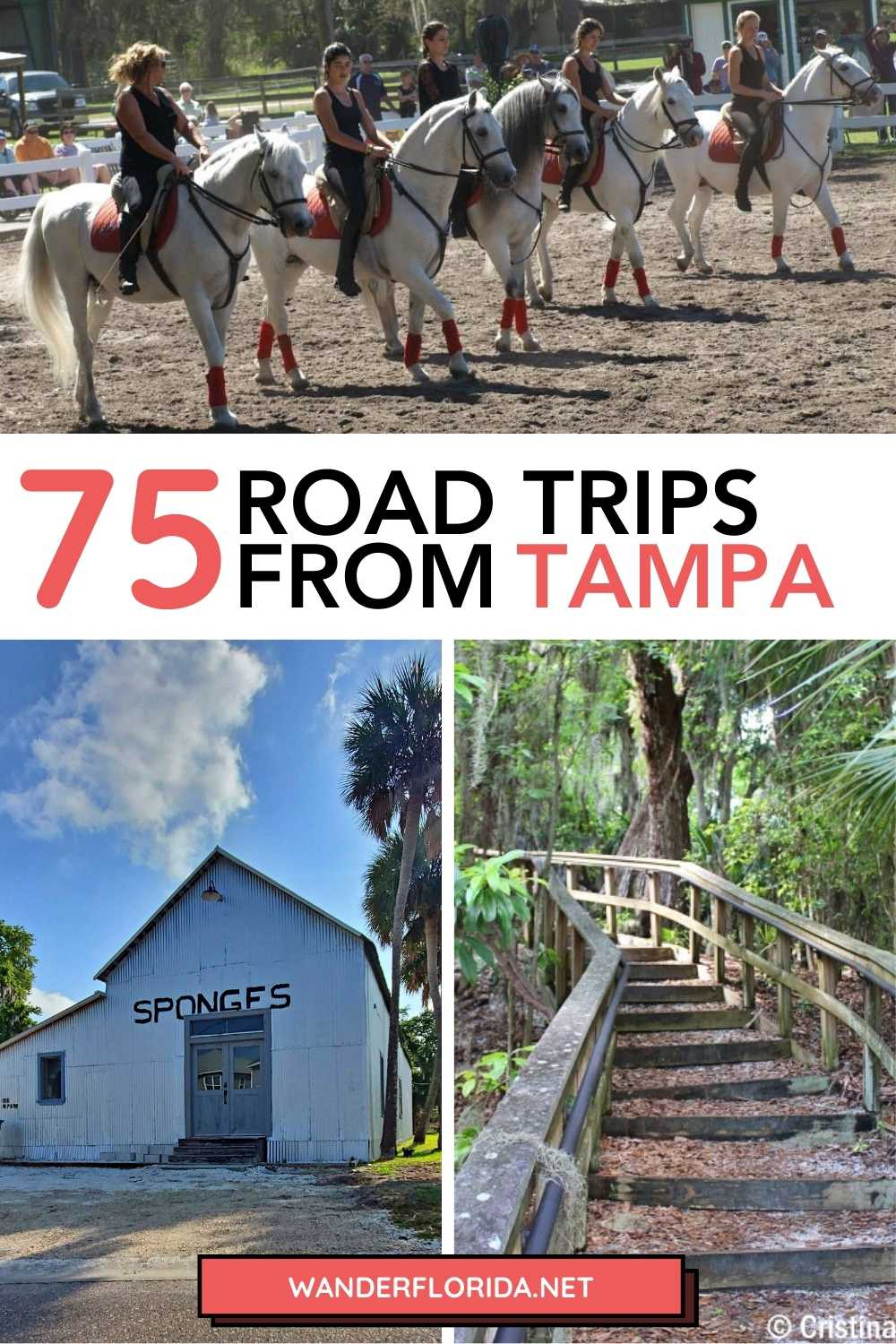 75+ Fantastic Florida Road Trips From Tampa 28 75+ Fantastic Florida Road Trips From Tampa