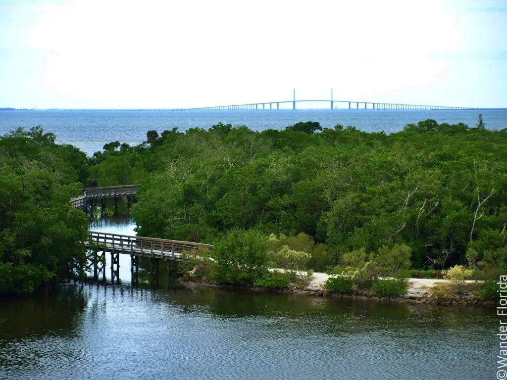 75+ Fantastic Florida Road Trips From Tampa 14 View from the observation tower at Robinson Preserve showing a boardwalk through mangroves in the foreground and the Sunshine Skyway Bridge in the background.