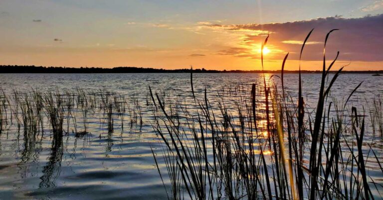 Enjoy Nature, Sunsets, and More at John Chesnut Park 4 Enjoy Nature, Sunsets, and More at John Chesnut Park