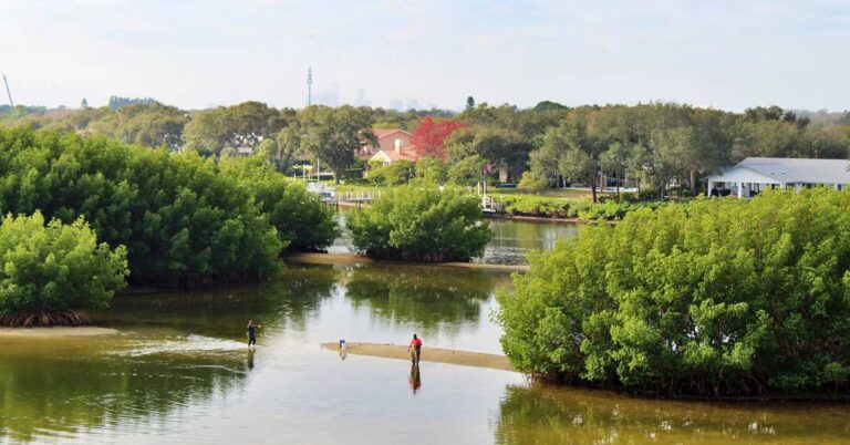 Weedon Island Preserve: Hiking, History, and More 3 Weedon Island Preserve: Hiking, History, and More