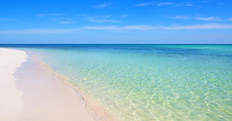 Why You Want to Visit Caladesi Island