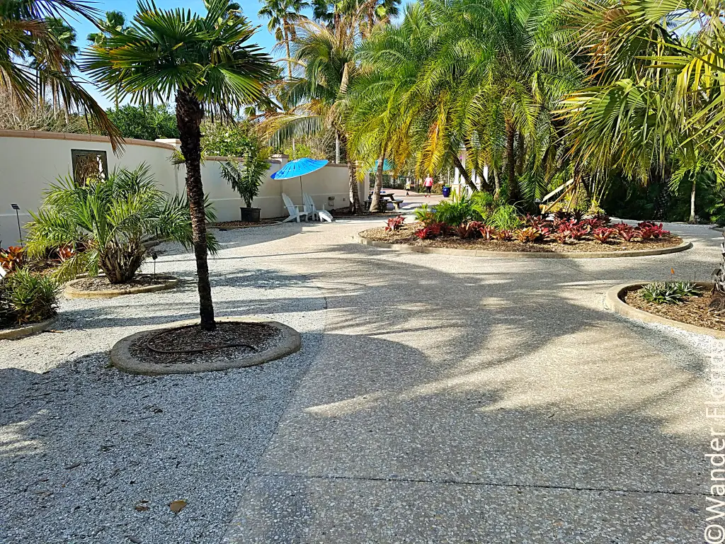Florida Botanical Gardens - A Beautiful Hidden Gem in Largo 21 Palm trees, picnic tables, and other seating dot a concrete and gravel courtyard.
