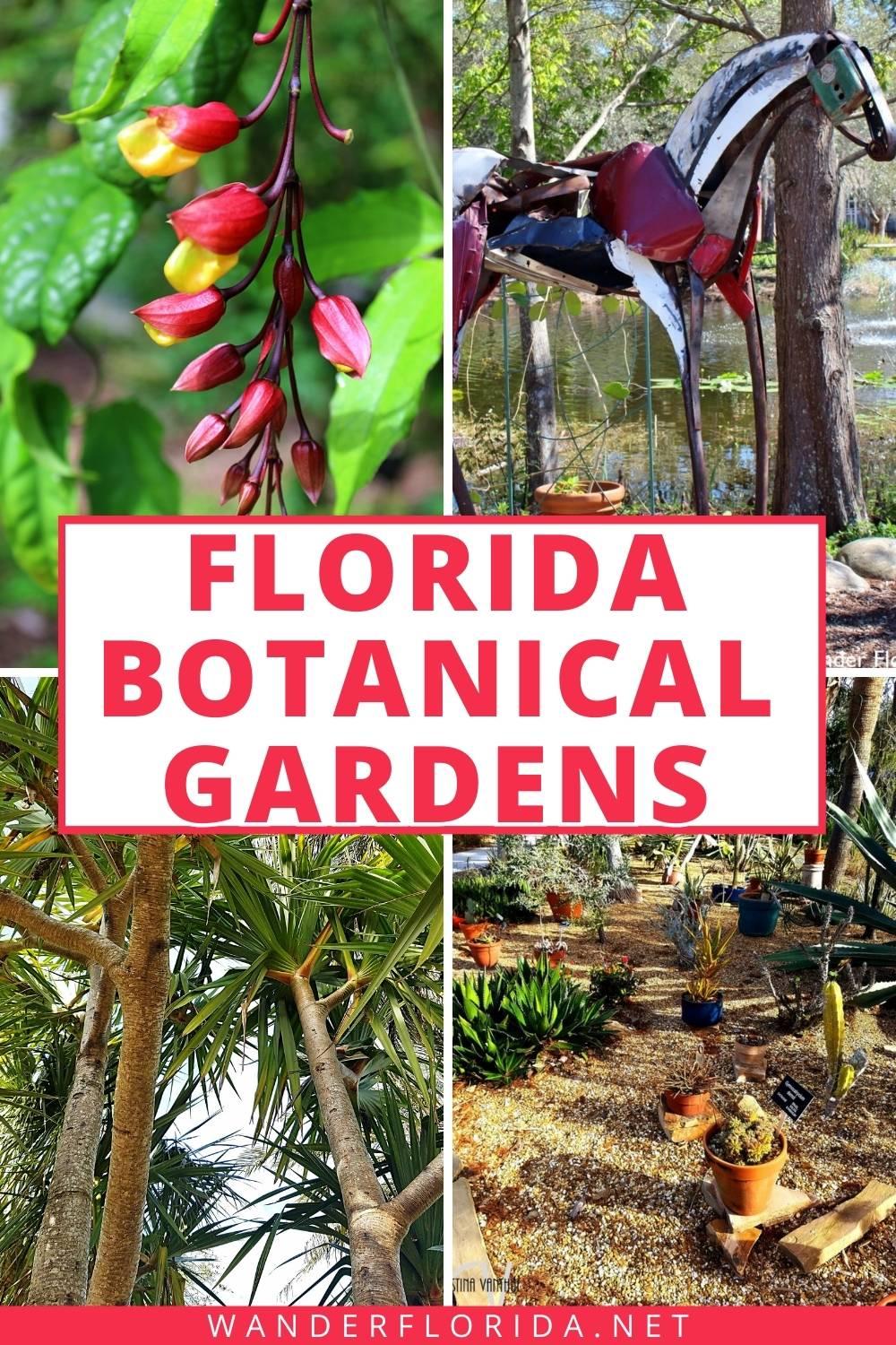 Florida Botanical Gardens - A Beautiful Hidden Gem in Largo 68 Florida Botanical Gardens - A Beautiful Hidden Gem in Largo
