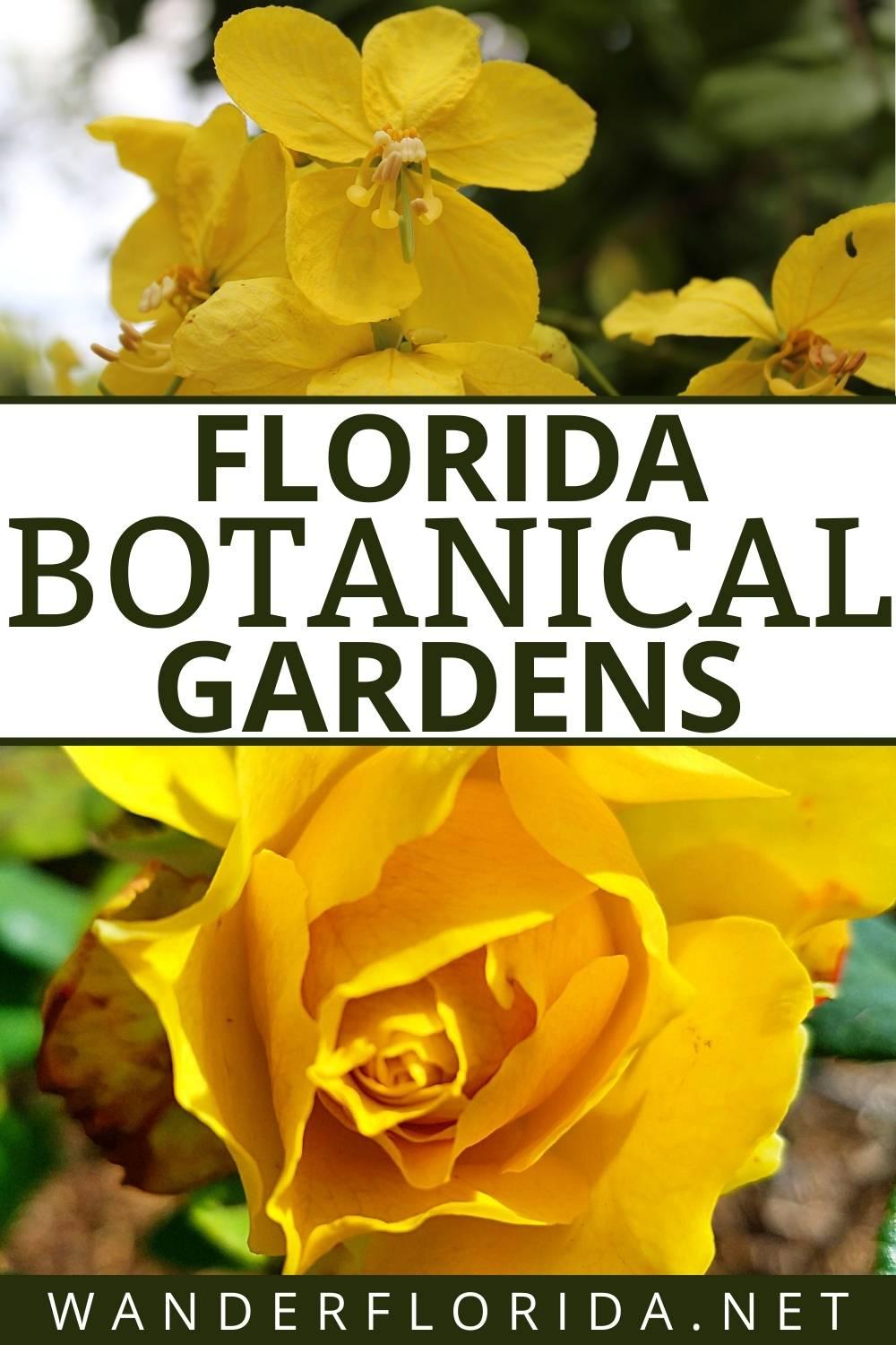 Florida Botanical Gardens - A Beautiful Hidden Gem in Largo 69 Florida Botanical Gardens - A Beautiful Hidden Gem in Largo