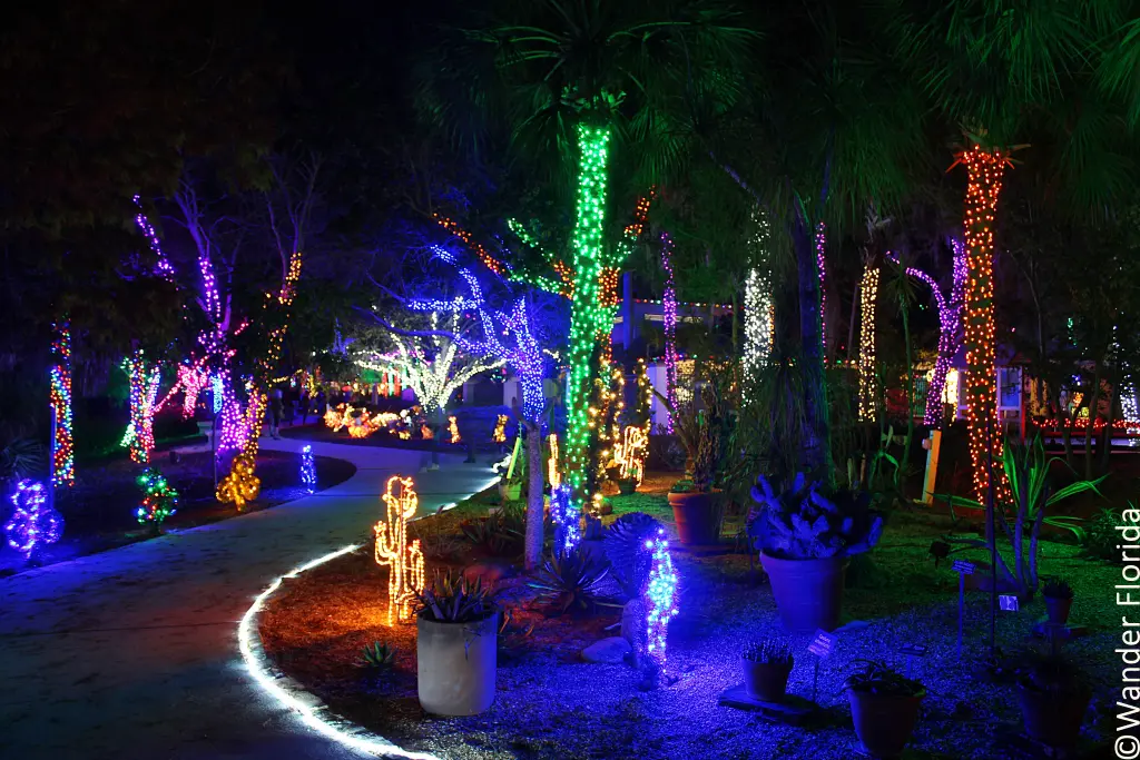 Florida Botanical Gardens - A Beautiful Hidden Gem in Largo 53 Cacti and potted succulents decorated with holiday lights.