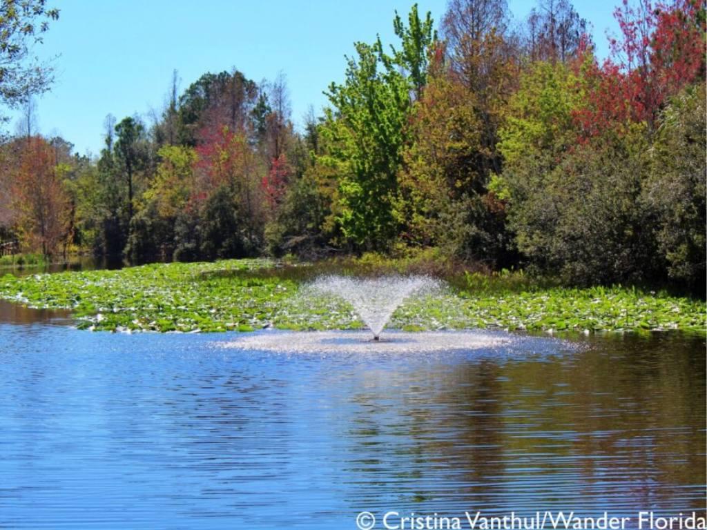 Florida Botanical Gardens - A Beautiful Hidden Gem in Largo 1 Photo shows McKay Creek with lily pads, a water fountain, and trees along the bank.