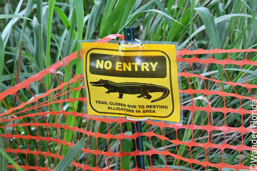 Florida Botanical Gardens - A Beautiful Hidden Gem in Largo 61 Orange fencing with a warning sign of "No Entry".