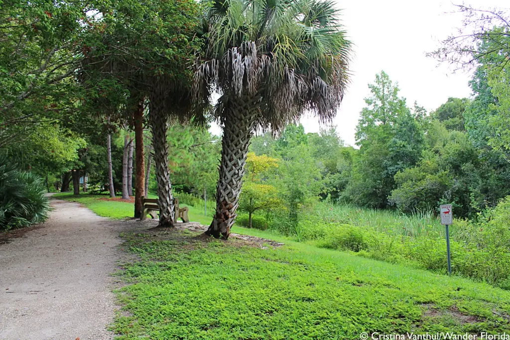 Florida Botanical Gardens - A Beautiful Hidden Gem in Largo 59 An unpaved trail between a lake and a canal lined with palm trees.