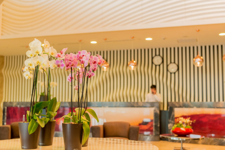 7 Expert Ways to Save on Your Next Hotel Stay 4 Hotel Lobby