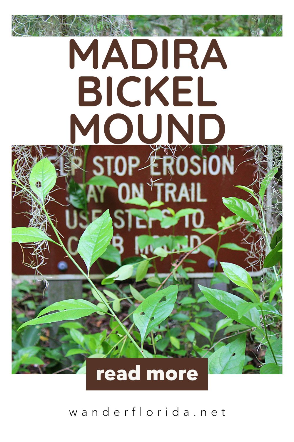 A Short Walk at Madira Bickel Mound State Archaeological Site