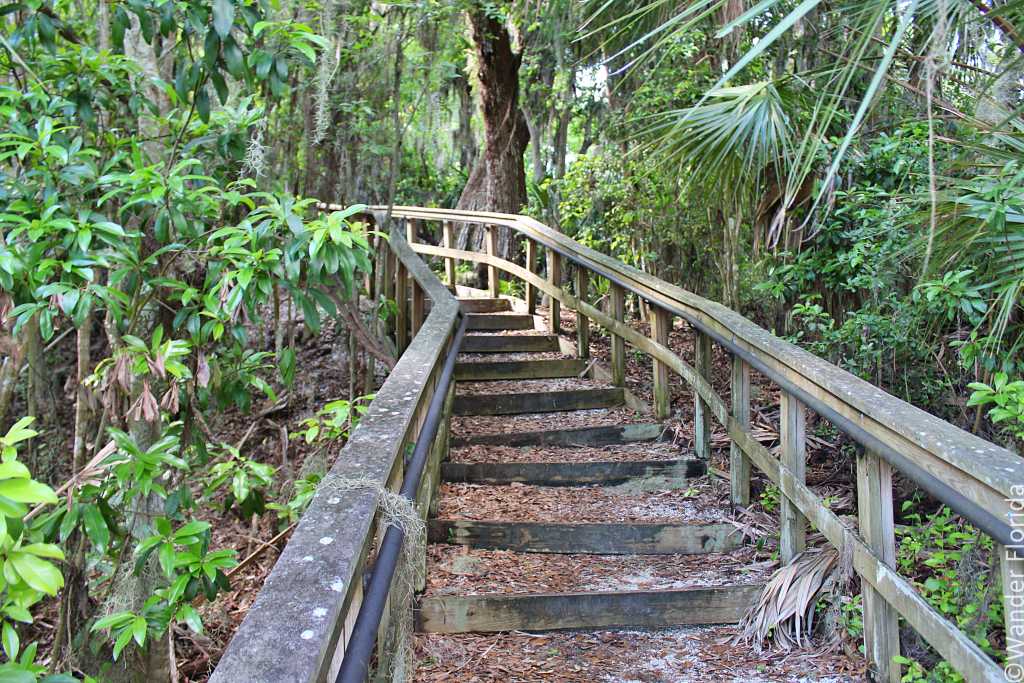 Madira Bickel Stairs