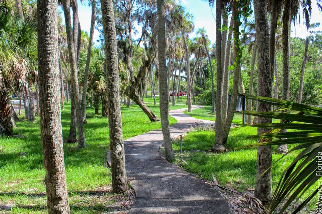 Trail at Madira Bickel