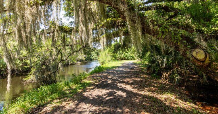 19 Amazing Trails for Hiking in Florida 1 19 Amazing Trails for Hiking in Florida
