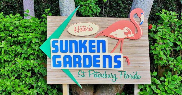 Exploring Sunken Gardens: St. Pete’s Hidden Tropical Gem 2 Exploring Sunken Gardens: St. Pete’s Hidden Tropical Gem