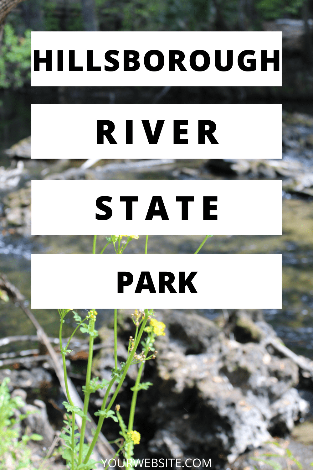 From Waterfalls to Wildlife: Your Epic Adventure Starts at Hillsborough River State Park