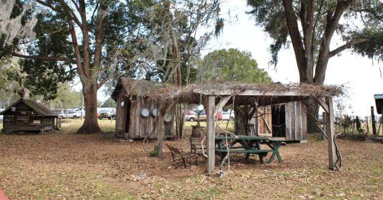 Pioneer Florida Museum: A Tribute to Florida's Early Years 4 Pioneer Florida Museum: A Tribute to Florida’s Early Years