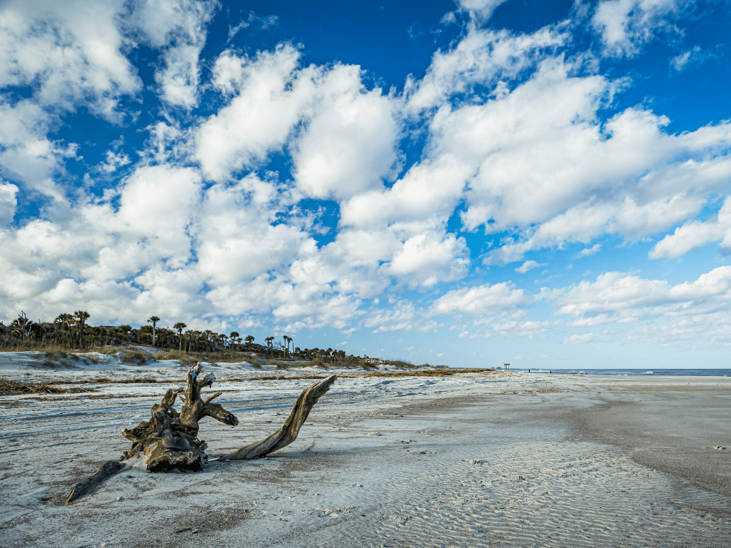 The Ultimate Florida Bucket List for Your Next Trip to the Sunshine State 5 Amelia Island