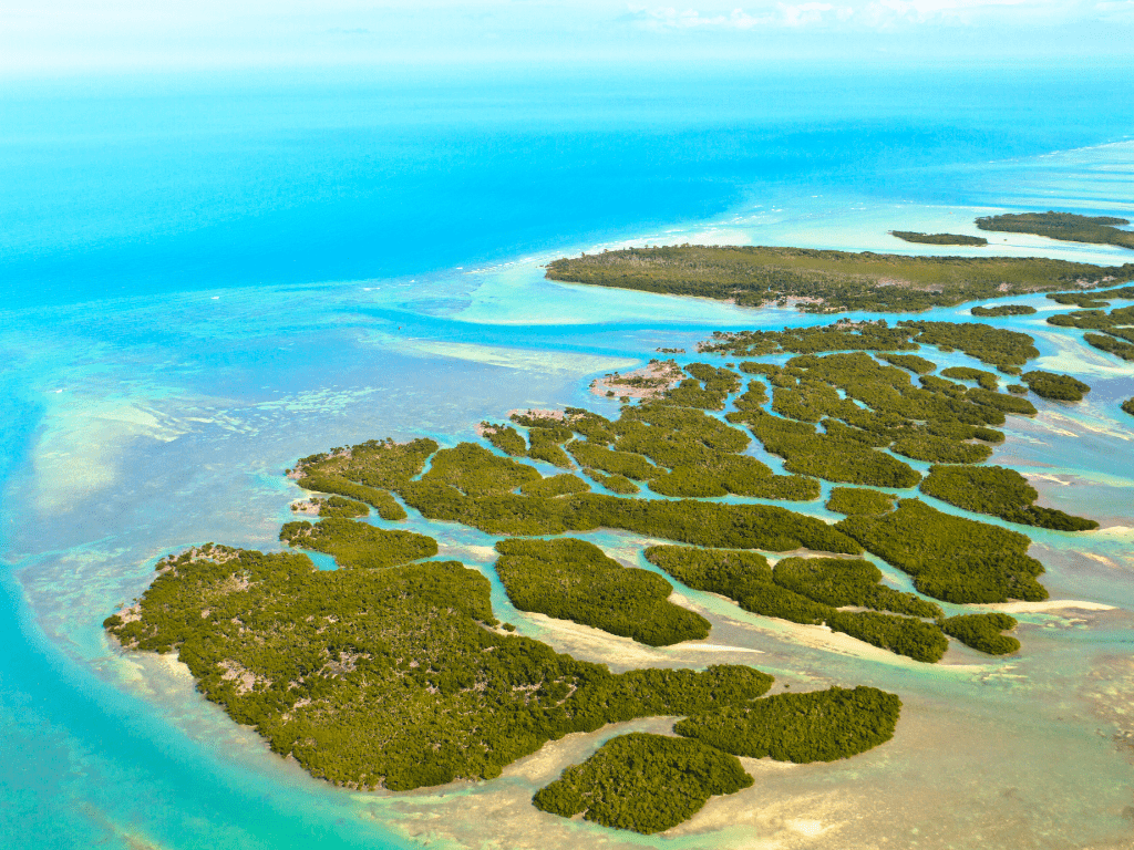 The Ultimate Florida Bucket List for Your Next Trip to the Sunshine State 4 Florida Keys