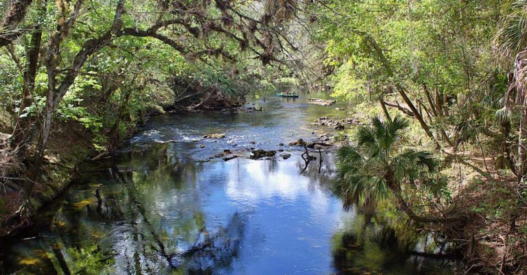 Hiking at Hillsborough River State Park 1 Hiking at Hillsborough River State Park
