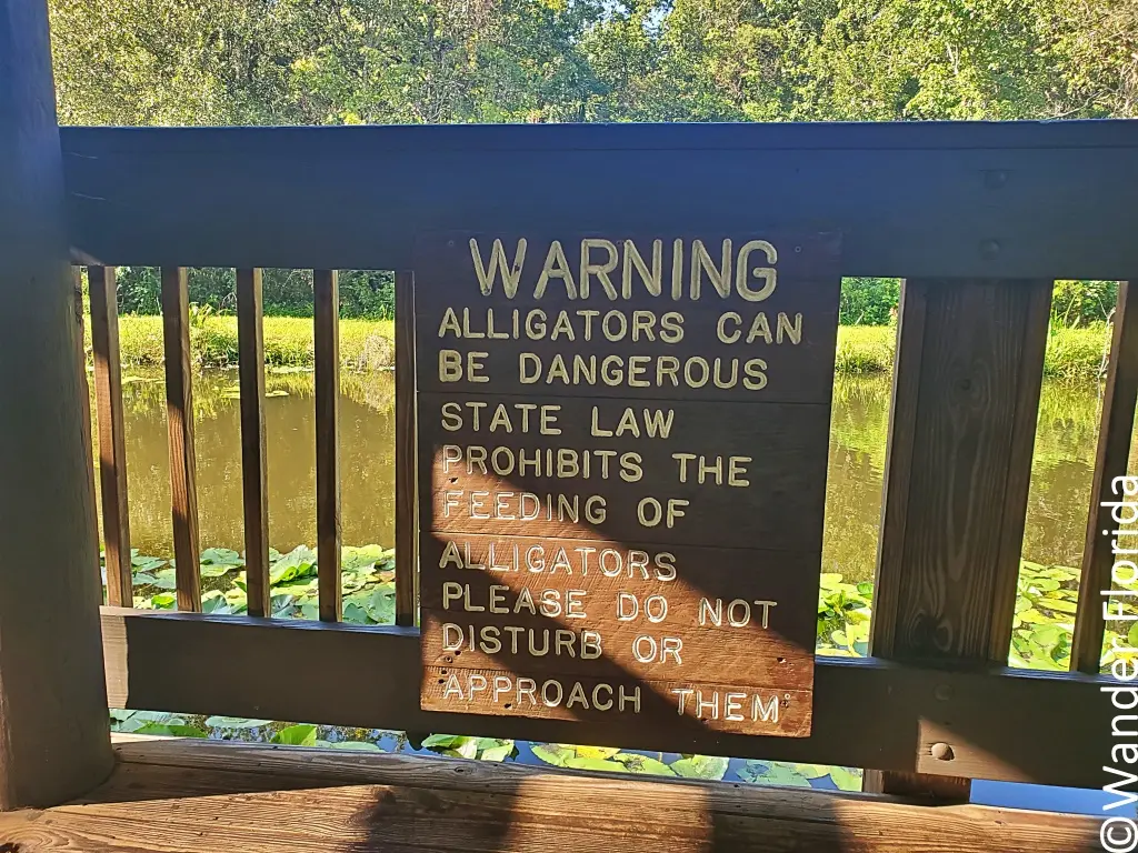 Alligator warning sign on a pier at Sawgrass Lake Park reads, "Warning. Alligators can be dangerous. State law prohibits the feed of alligators, Please do not disturb or approach them."