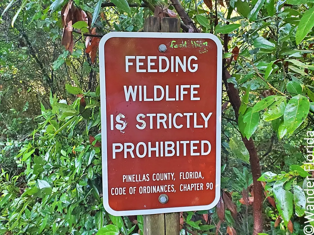 A brown, Pinellas-County issued sign on one of the trails at Sawgrass Lake Park reads, "Feeding wildlife is strictly prohibited" and states the county ordinance.