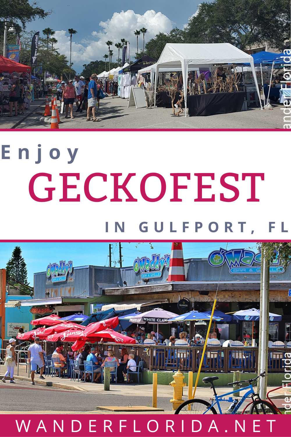 GeckoFest: Gulfport's Epic Way to End the Summer 9 GeckoFest: Gulfport\'s Epic Way to End the Summer