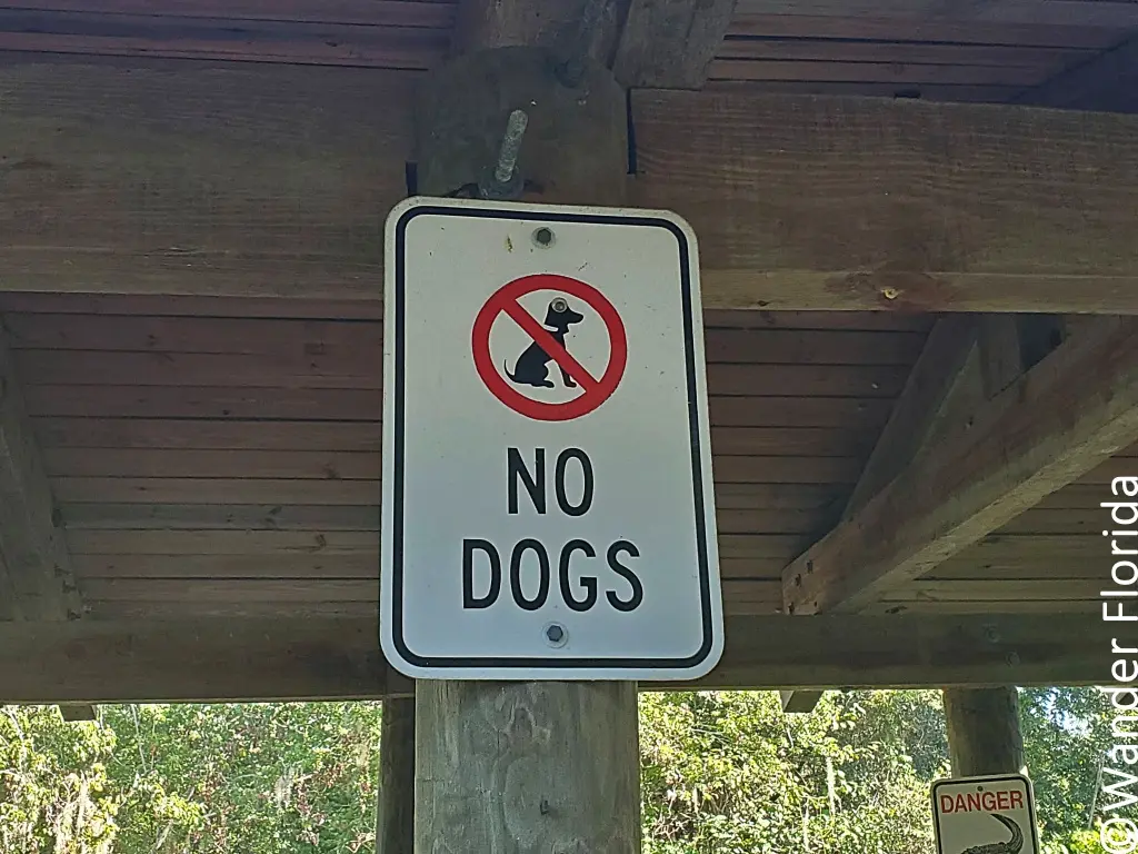 A white sign with an Xed out dog and the words "No Dogs" in a picnic shelter near the entrance to the boardwalk at Sawgrass Lake Park.