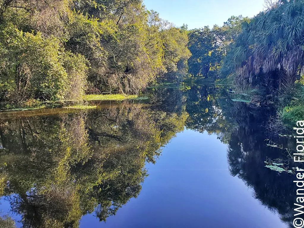 The waters of a canal at Sawgrass Lake Park in St. Petersburg reflect the trees which line both sides of the canal.