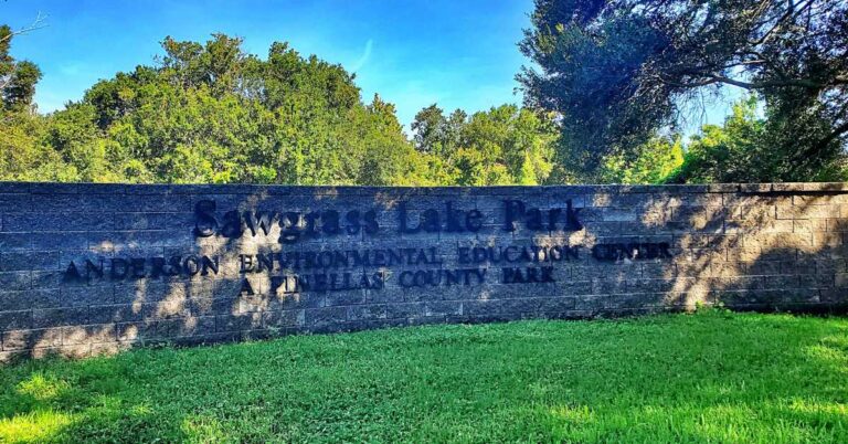 Sawgrass Lake Park: A Beautiful Natural Spot in the Heart of St. Petersburg 2 Sawgrass Lake Park: A Beautiful Natural Spot in the Heart of St. Petersburg