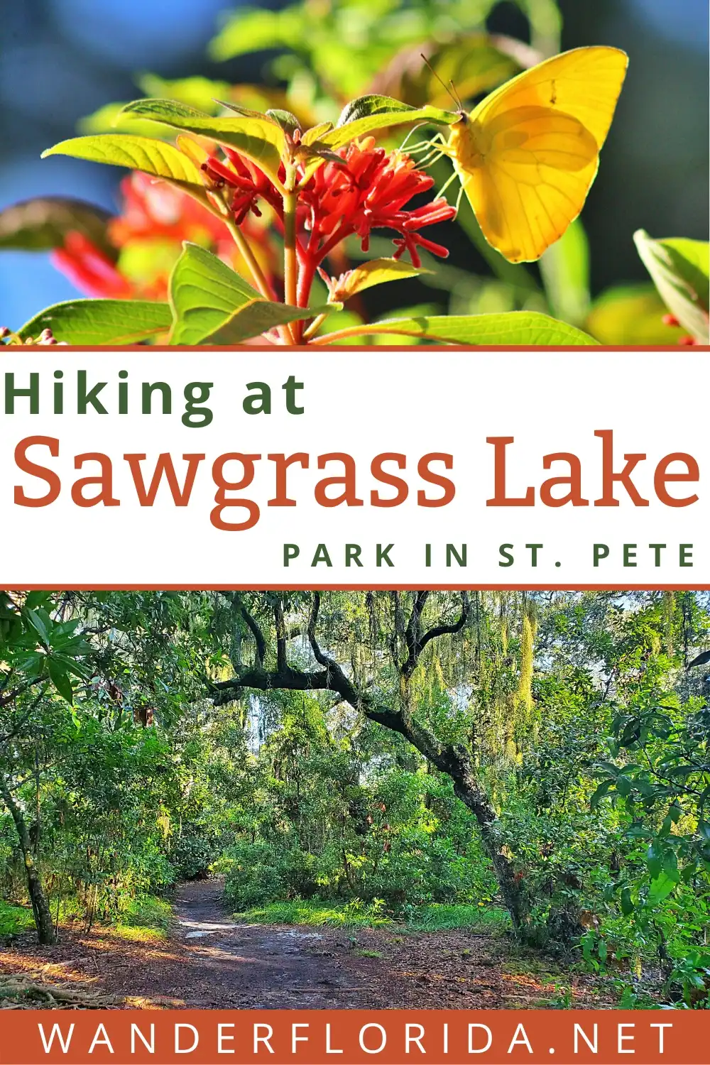 Sawgrass Lake Park: A Beautiful Natural Spot in the Heart of St. Petersburg