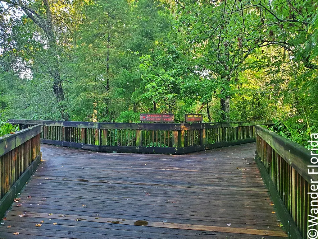 Boardwalk Fork at Sawgrass Lake Park