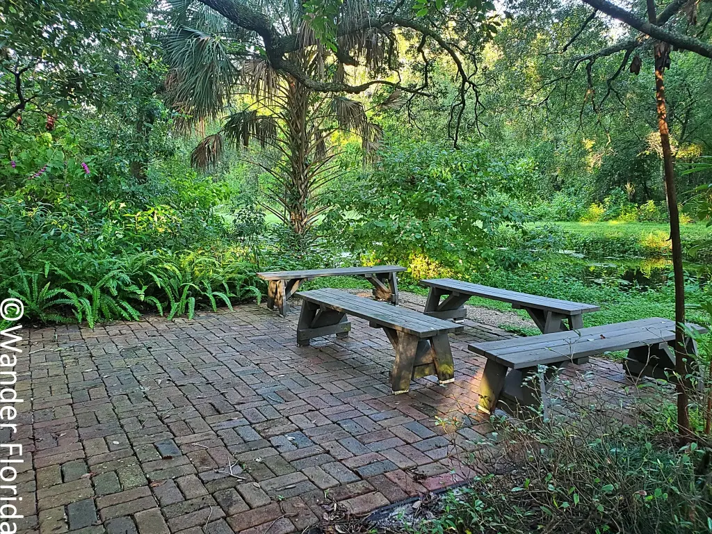 A brick patio with wood benches is surrounded by American beauty berry on three sides and overlooks one of the canals at Sawgrass Lake Park.