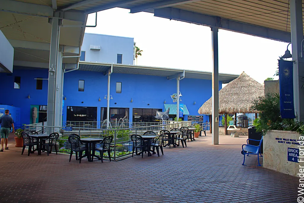 Mote Marine Laboratory: A World-Class Ocean Research and Education Institution 10 Courtyard in the Shark Zone at Mote Marine Laboratory