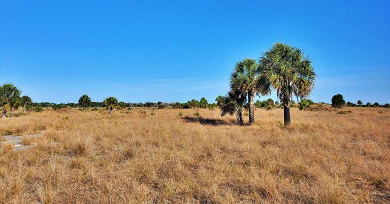The Complete Guide to Exploring Weekiwachee Preserve