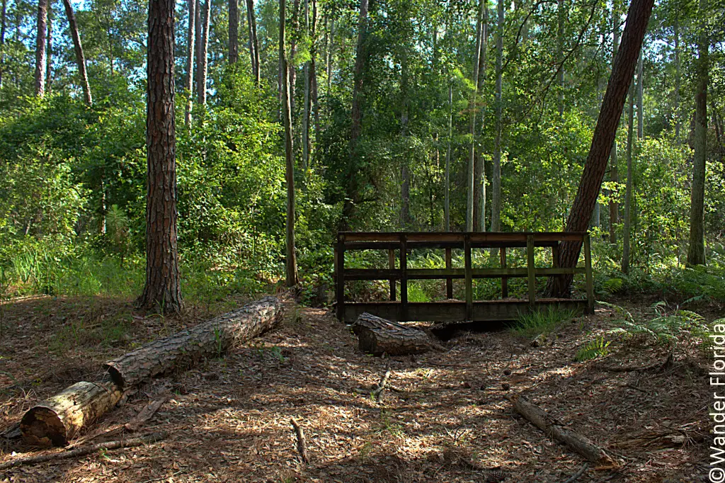 2023 Recap - 5 Favorite Florida Hikes in 2023 7 Bridge at Gator Creek Reserve 2