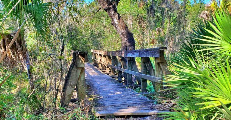 A wooden bridge crosses a creek at Little Manatee River State Park, one of our favorite Florida hikes.