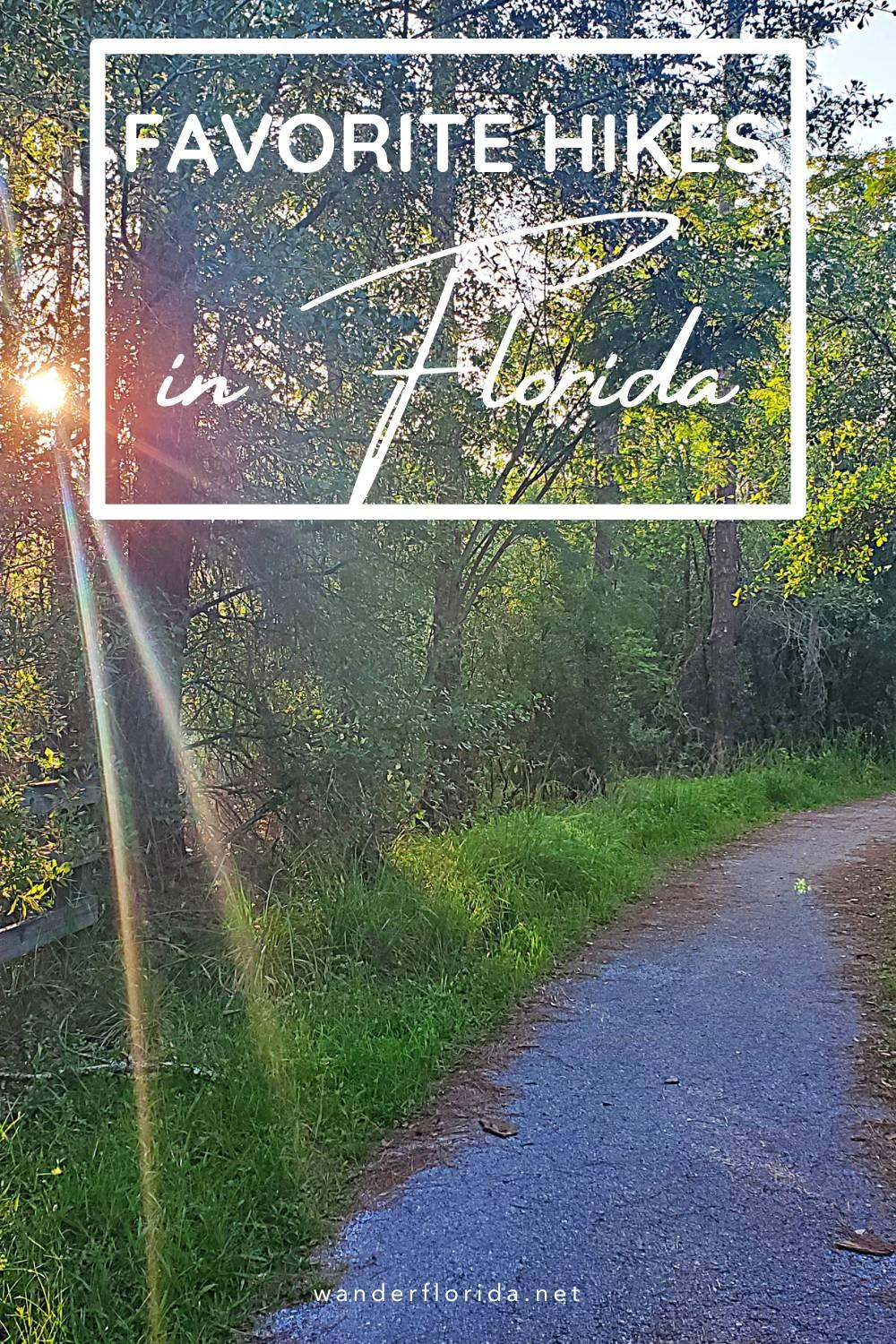 2023 Recap - 5 Favorite Florida Hikes in 2023 18 2023 Recap - 5 Favorite Florida Hikes in 2023