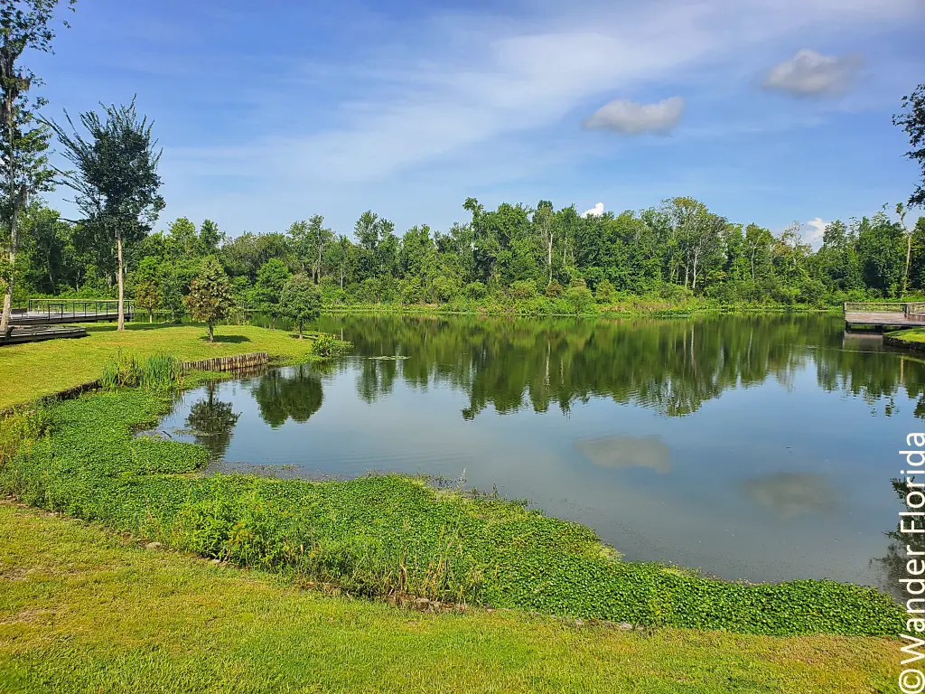 The serene lagoon, a part of Lake Bonnet at Bonnet Springs Park.