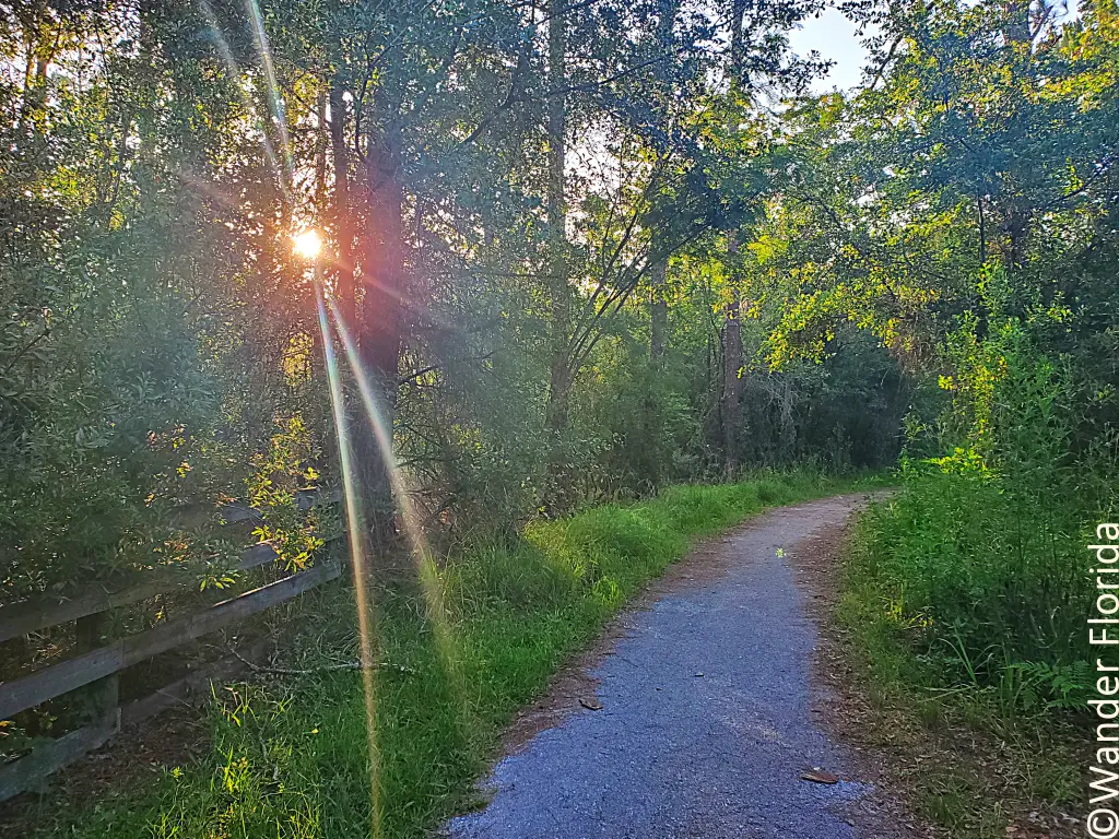 2023 Recap - 5 Favorite Florida Hikes in 2023 8 Morning at Gator Creek Reserve