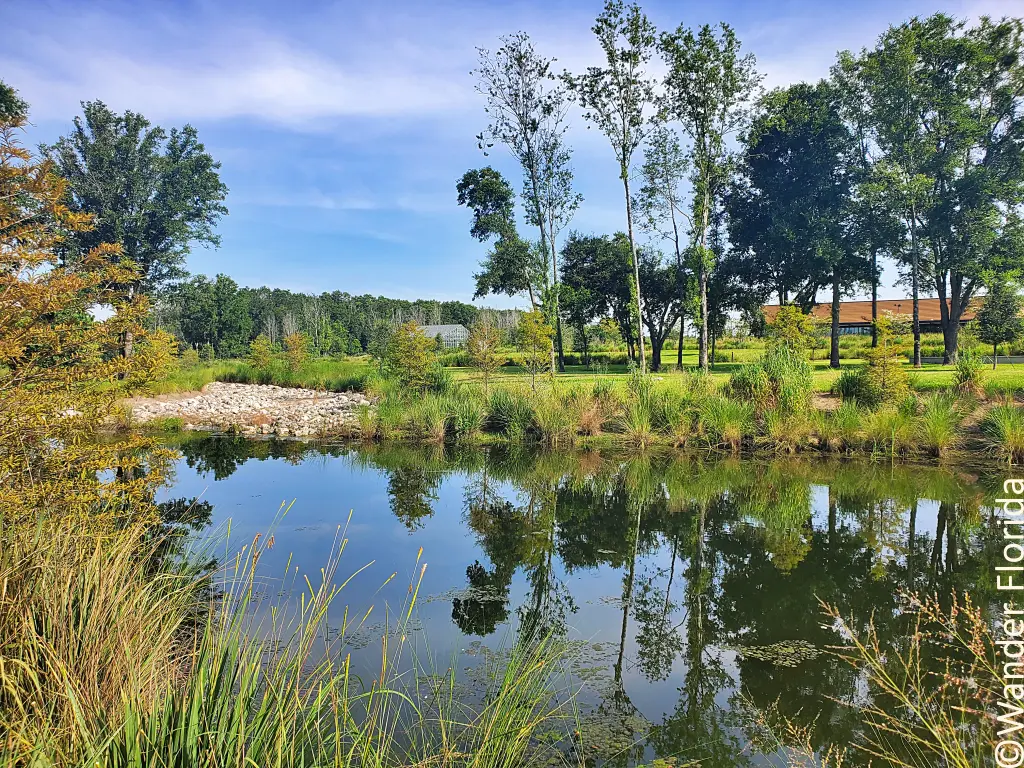 A serene pond nestled amidst a lush green field at Bonnet Springs Park.