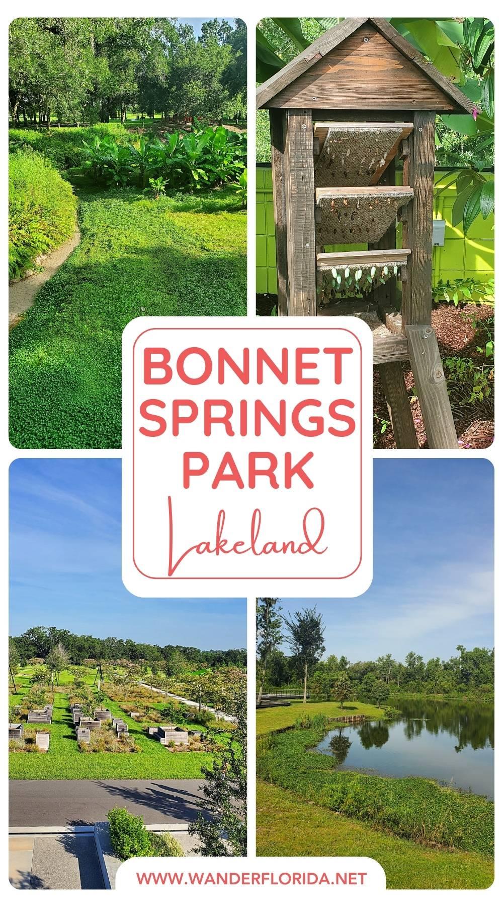 A Guide to Exploring Bonnet Springs Park in Lakeland