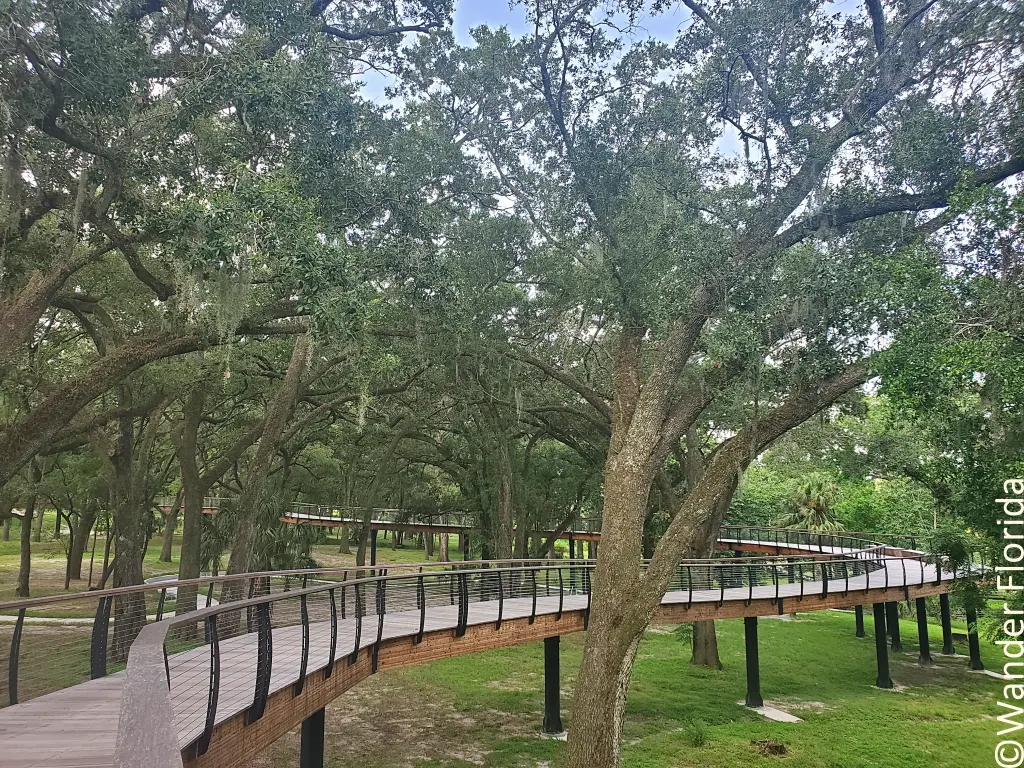 The canopy walk winds through the trees offering a unique perspective of Bonnet Springs Park.