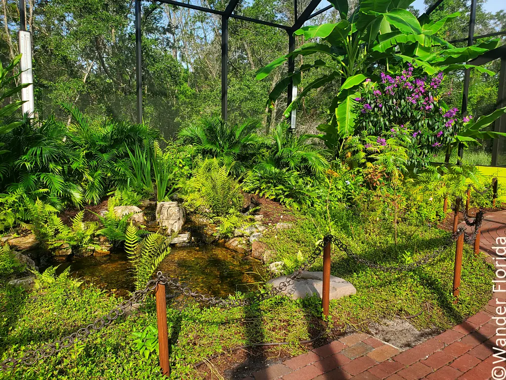 A pond and small waterfall in Zoey's Butterfly House, surrounded by tropical plants.